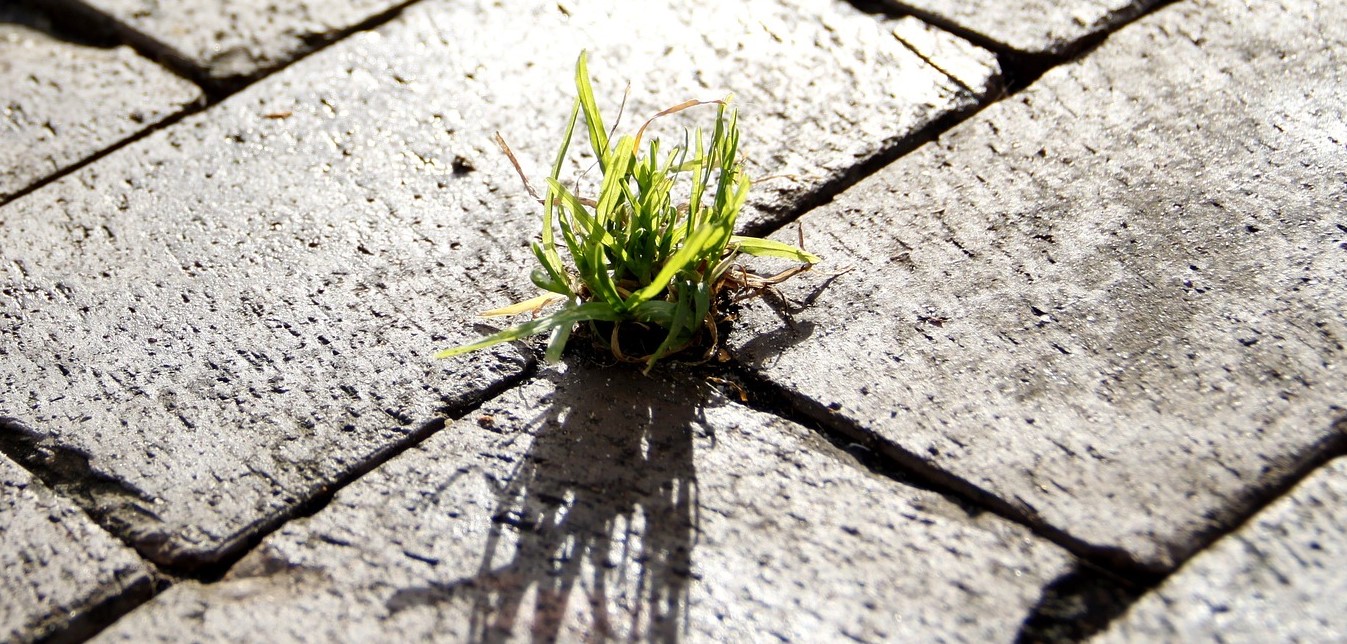 demarche batiment durable