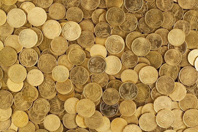 pièces euros 79