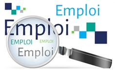 Emploi