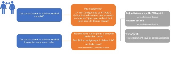 schema-salarié-cas-contact-covid