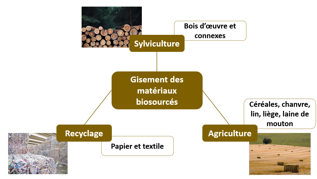 Bois et matériaux biosourcés : les défis de demain Bois et matériaux biosourcés : les défis de demain - Résistance structurelle et durabilité des matériaux biosourcés