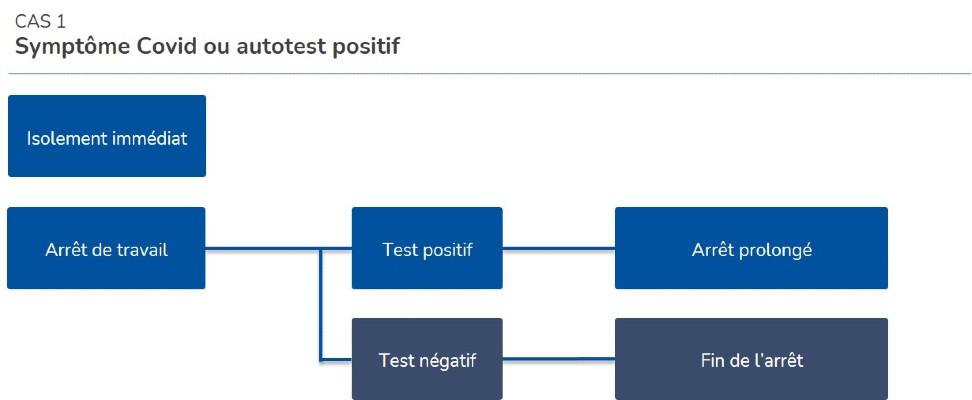 Schema symptome Covid ou autotest positif