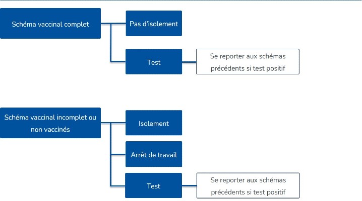 Schema cas contact