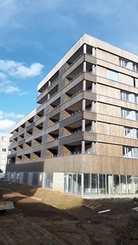 Association beton bois gros oeuvre